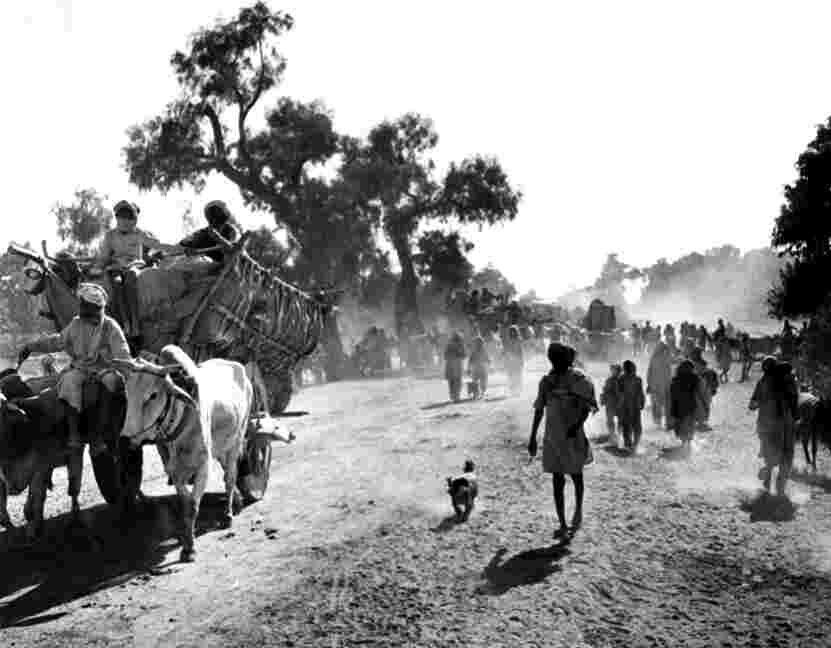 APO/February,54, A31d From Balloki Head Kasur Carts, cattle, donkeys, dogs, men, women, boys, girls, babies, bicycles, and baggage are all in constant motion under a pall of dust.